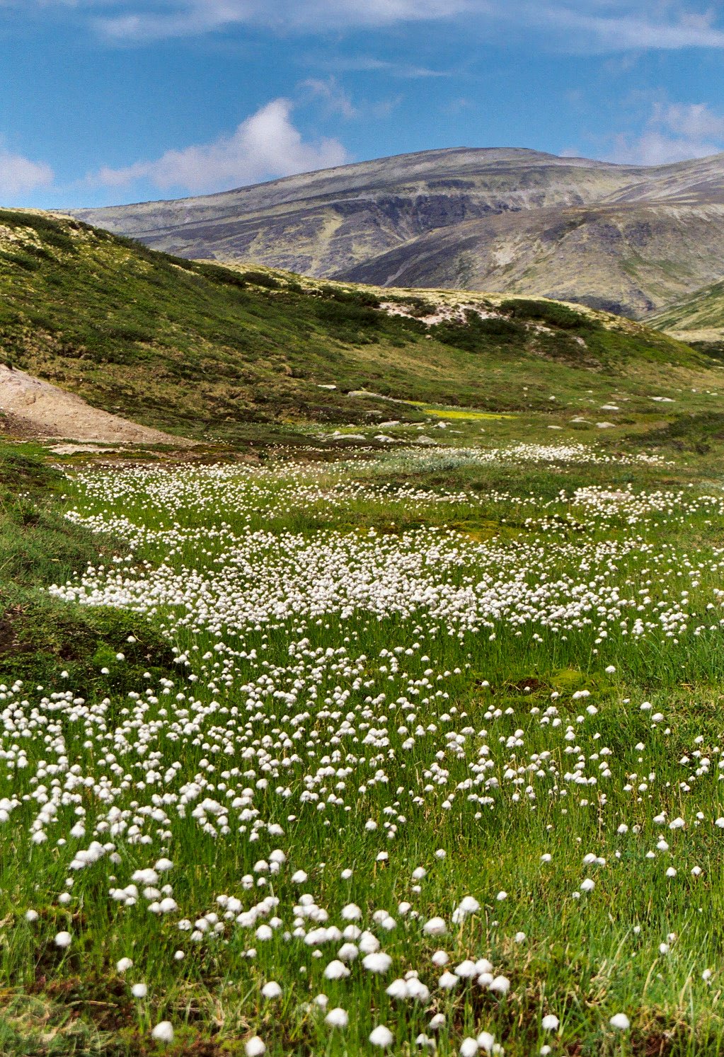 The beautiful landscape of Rondane