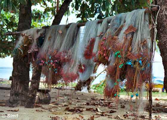 Fishing nets