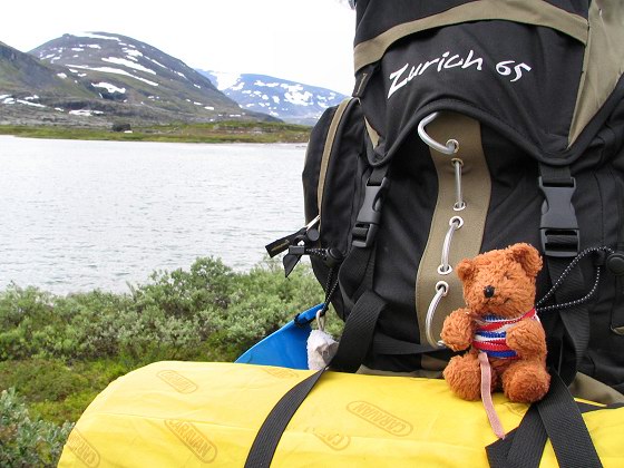 my backpack and my always present little mascot