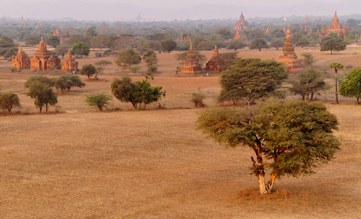 Bagan