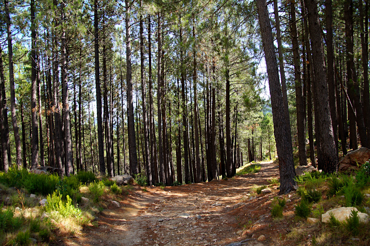 Col de Bavella