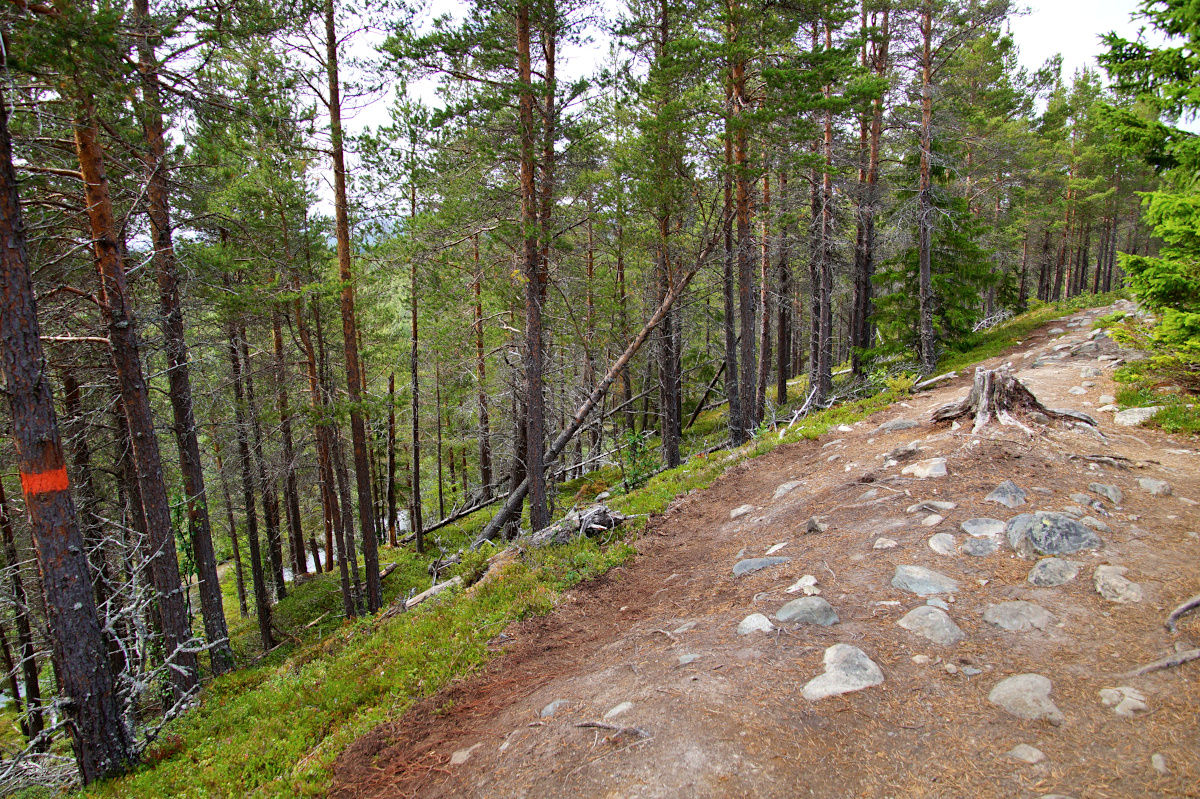 Blanktjärnsrundan