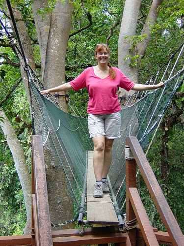  Canope Walk at Poring Hot Springs