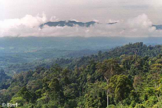 Viewpoint at Mangkadait