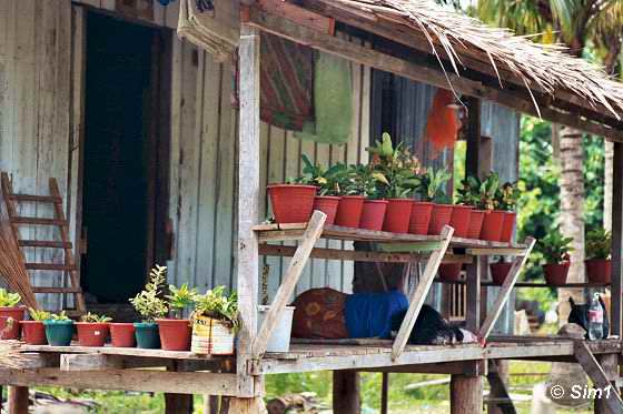  Flowerpots