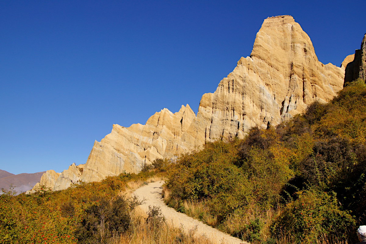 Clay Cliffs