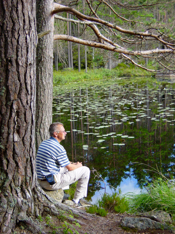 Tiveden National Park