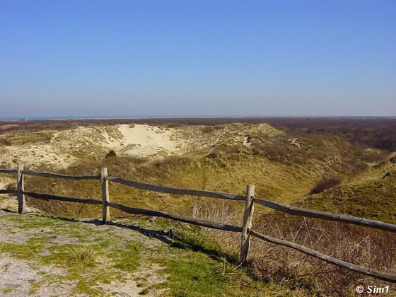 View from Bunker Wasserman