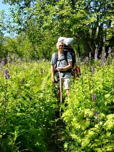 Hiking through the flower jungle