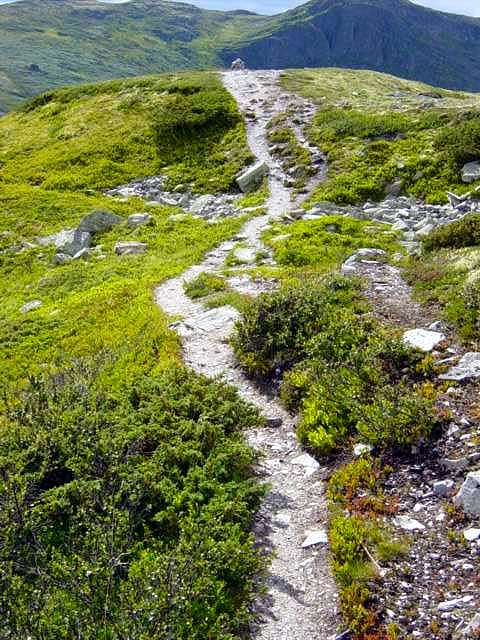 Rondane National Park