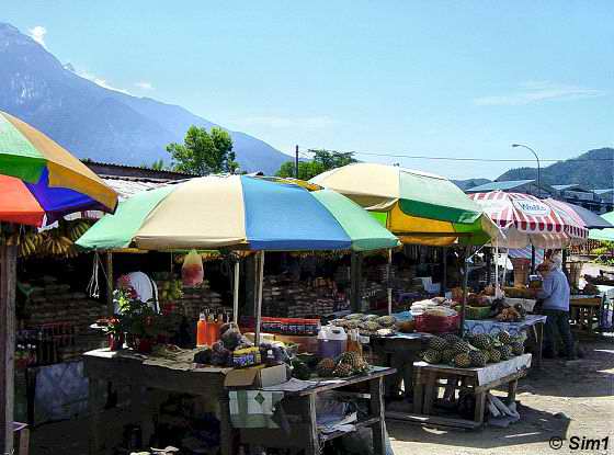 Local Market