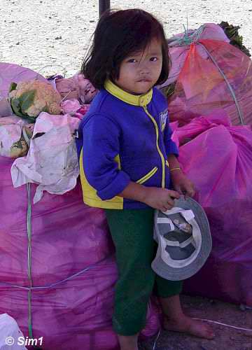 Little girl at the fruit market in Kundasang