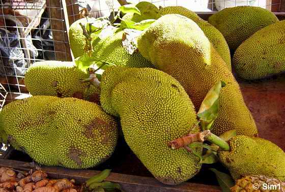 Jack fruit