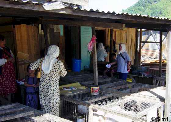 Woman on the market in Kundasang