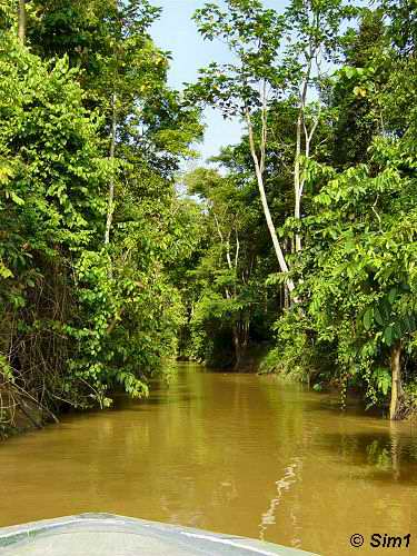  Canal to Oxbow Lake