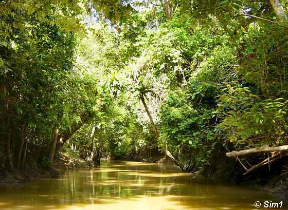  Canal to Oxbow Lake