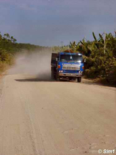 Trucks in the middle of the road