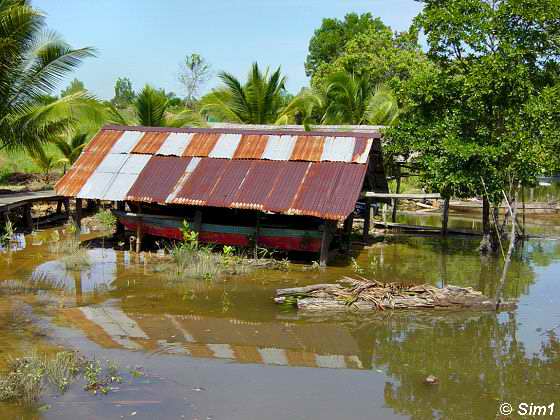 At Padas Village