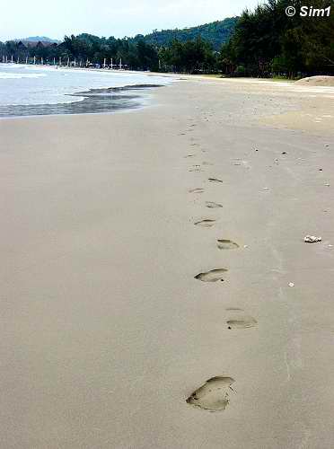 A long walk on the beach
