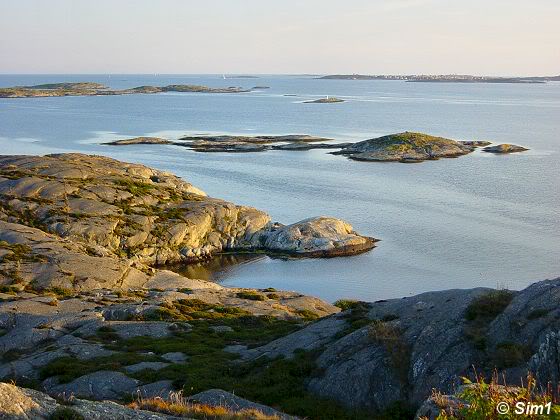 Rocky Shores