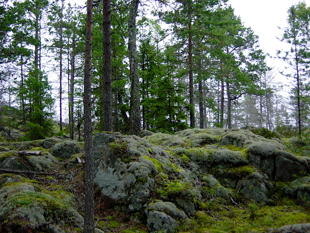 Tyresta National Park