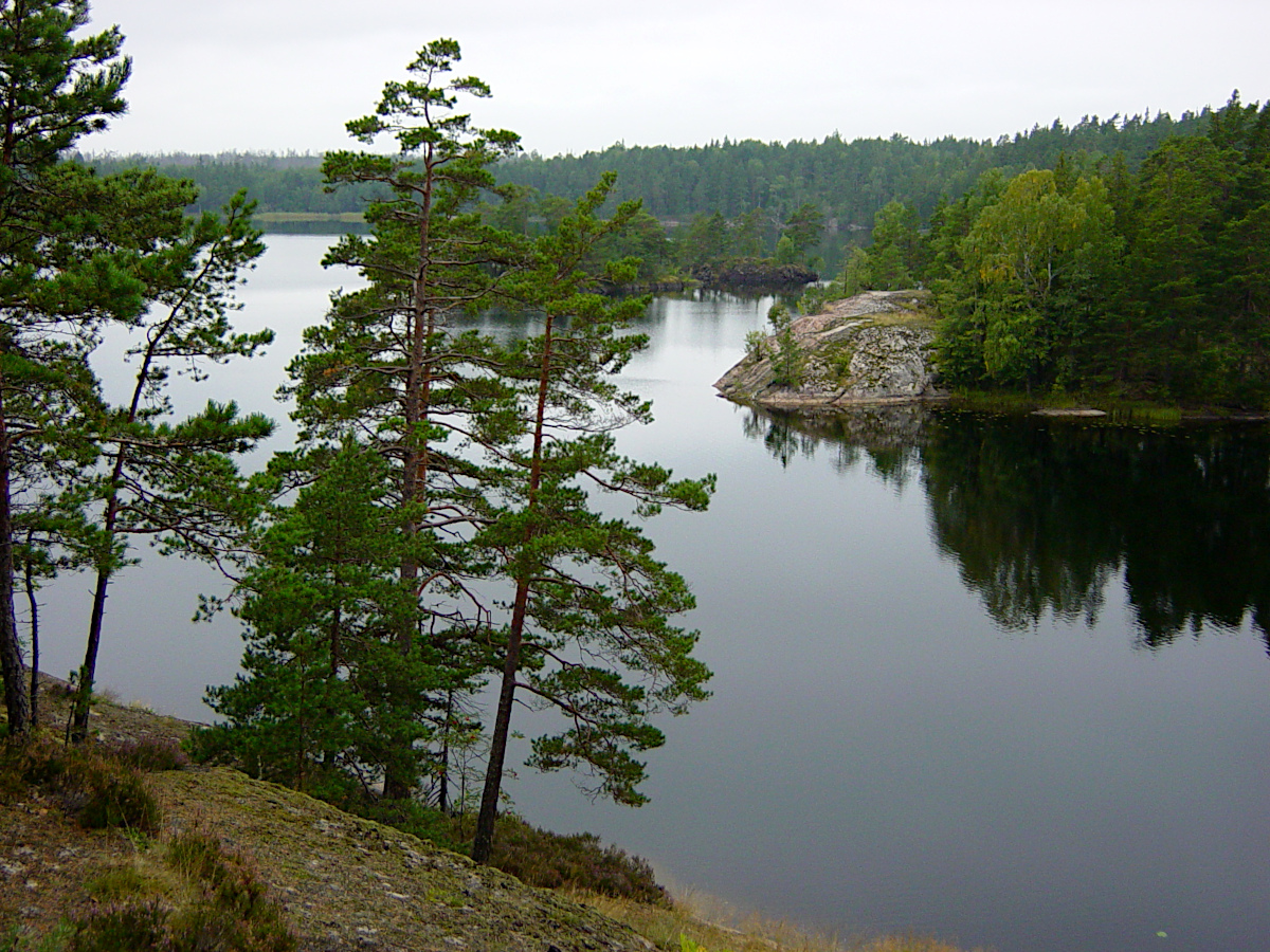 Tyresta National Park