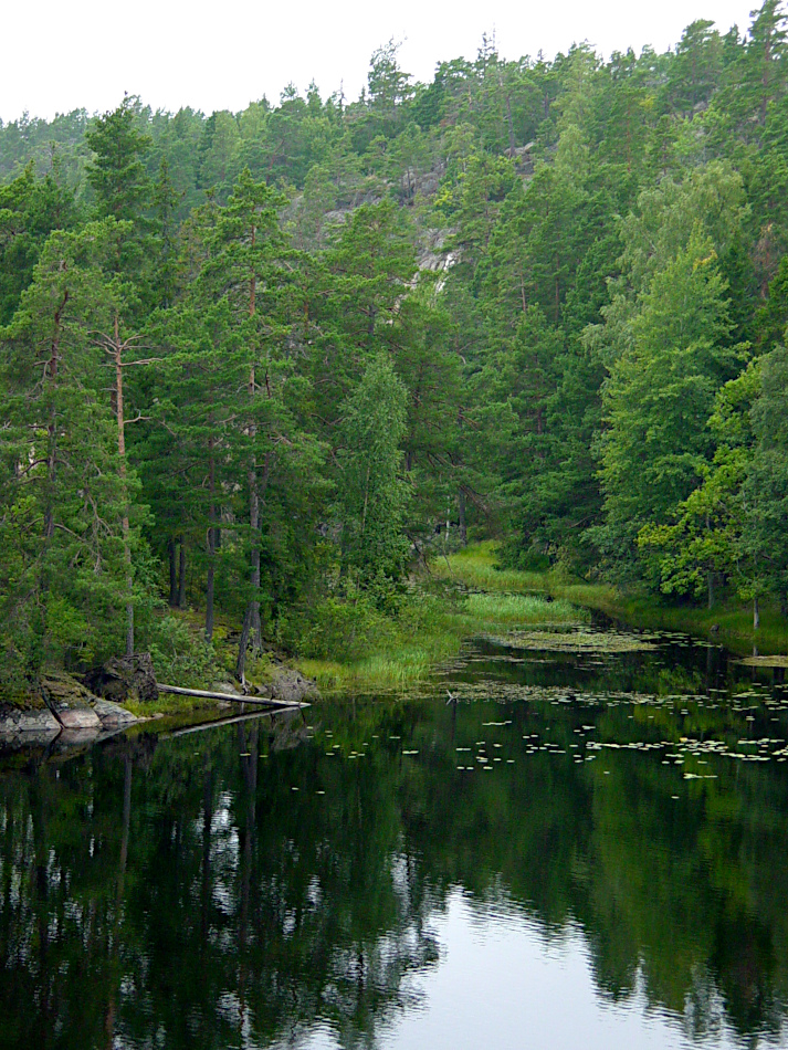 Tyresta National Park