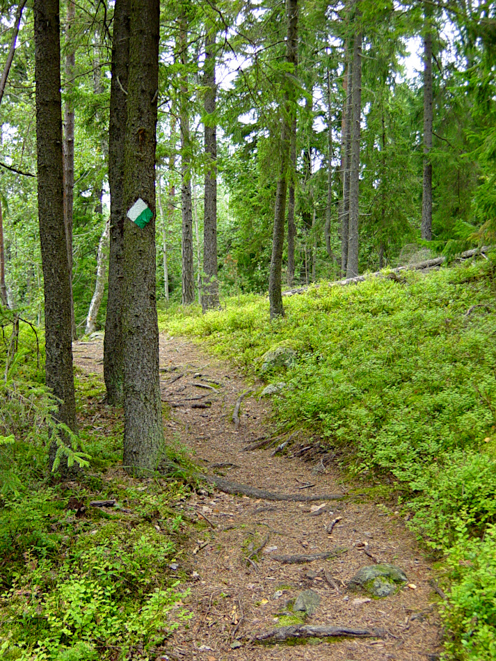 Tyresta National Park