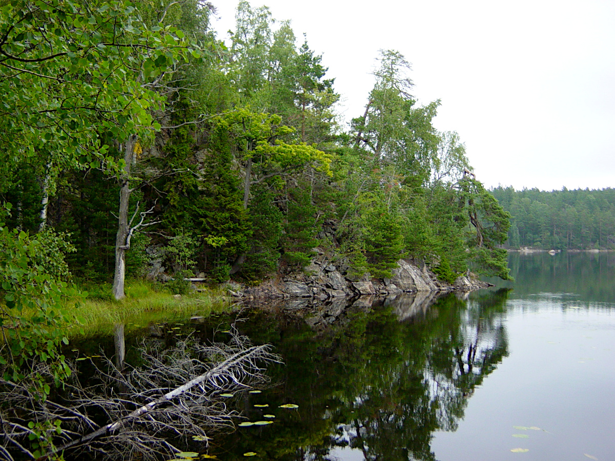 Tyresta National Park