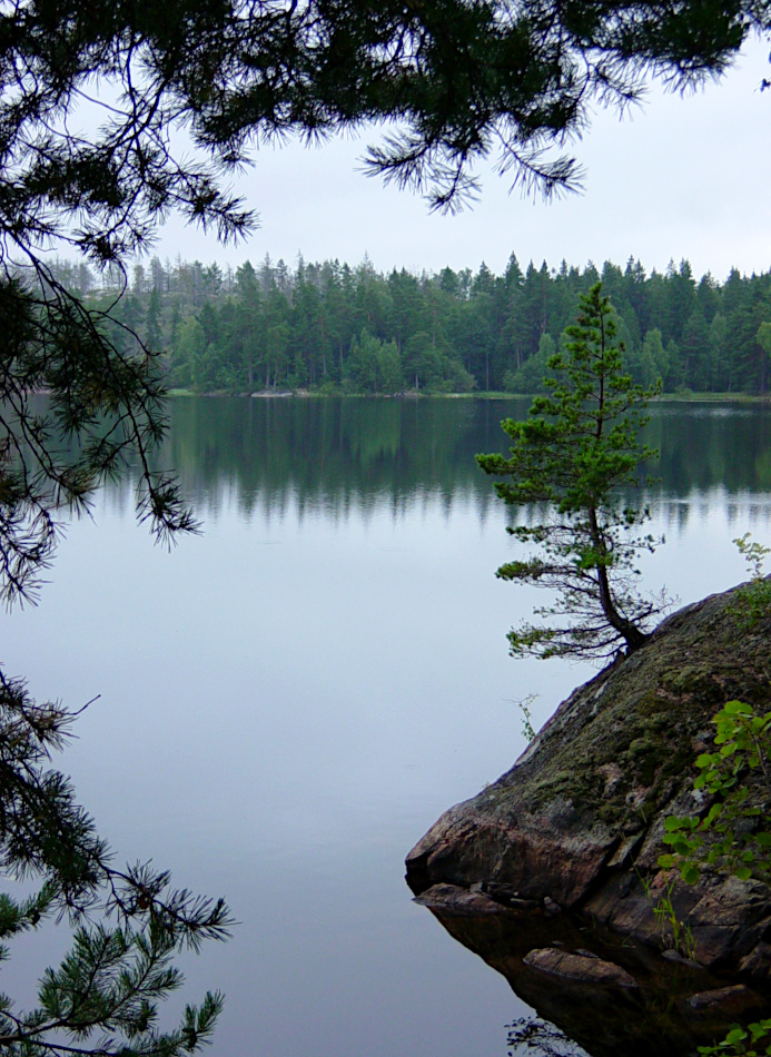 Tyresta National Park