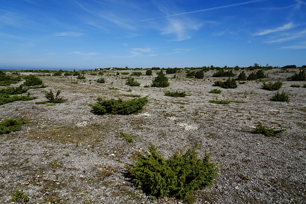 Fårö