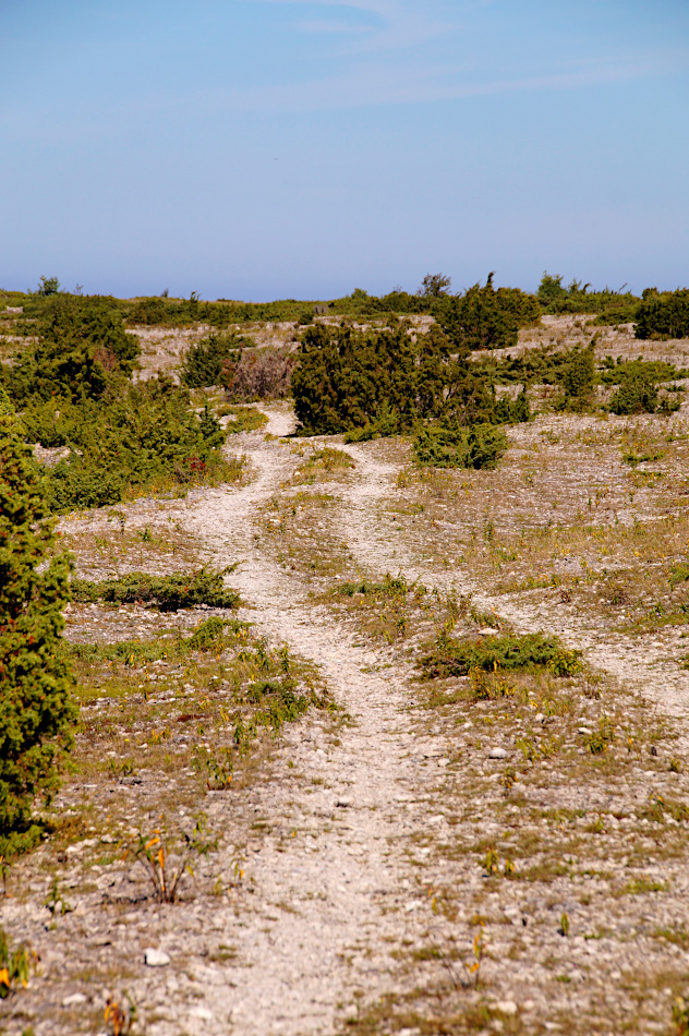 Fårö