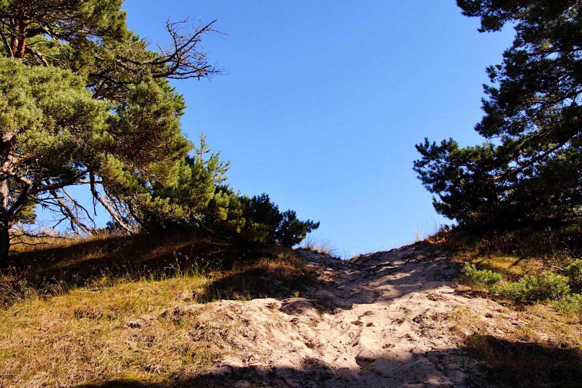 Fårö