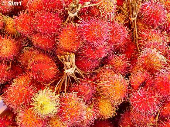 Rambutan fruit