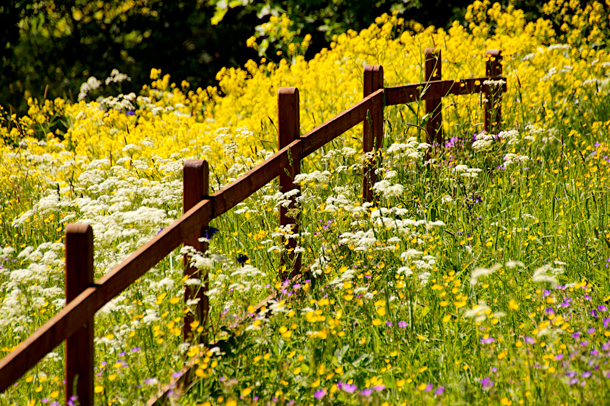 Garphyttan National Park