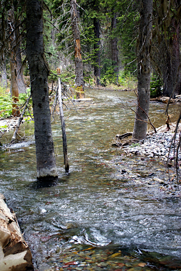 Cataract Creek, Glacier National Park