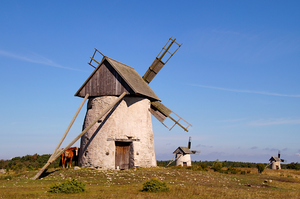 Horses at the windmill of Hundlauser