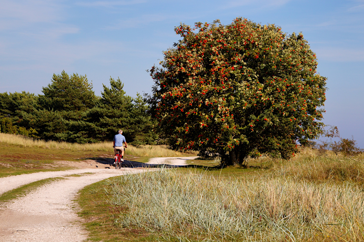 Southern Gotland