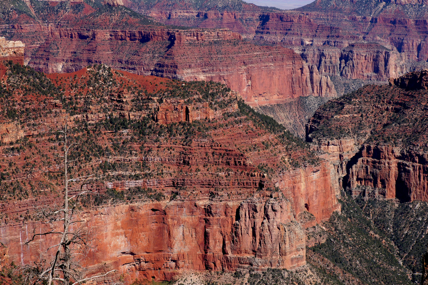 Grand Canyon, North Rim