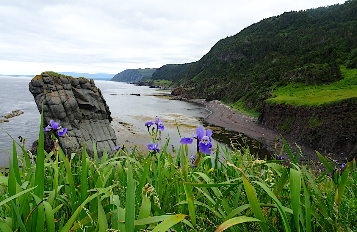 Gros Morne National Park