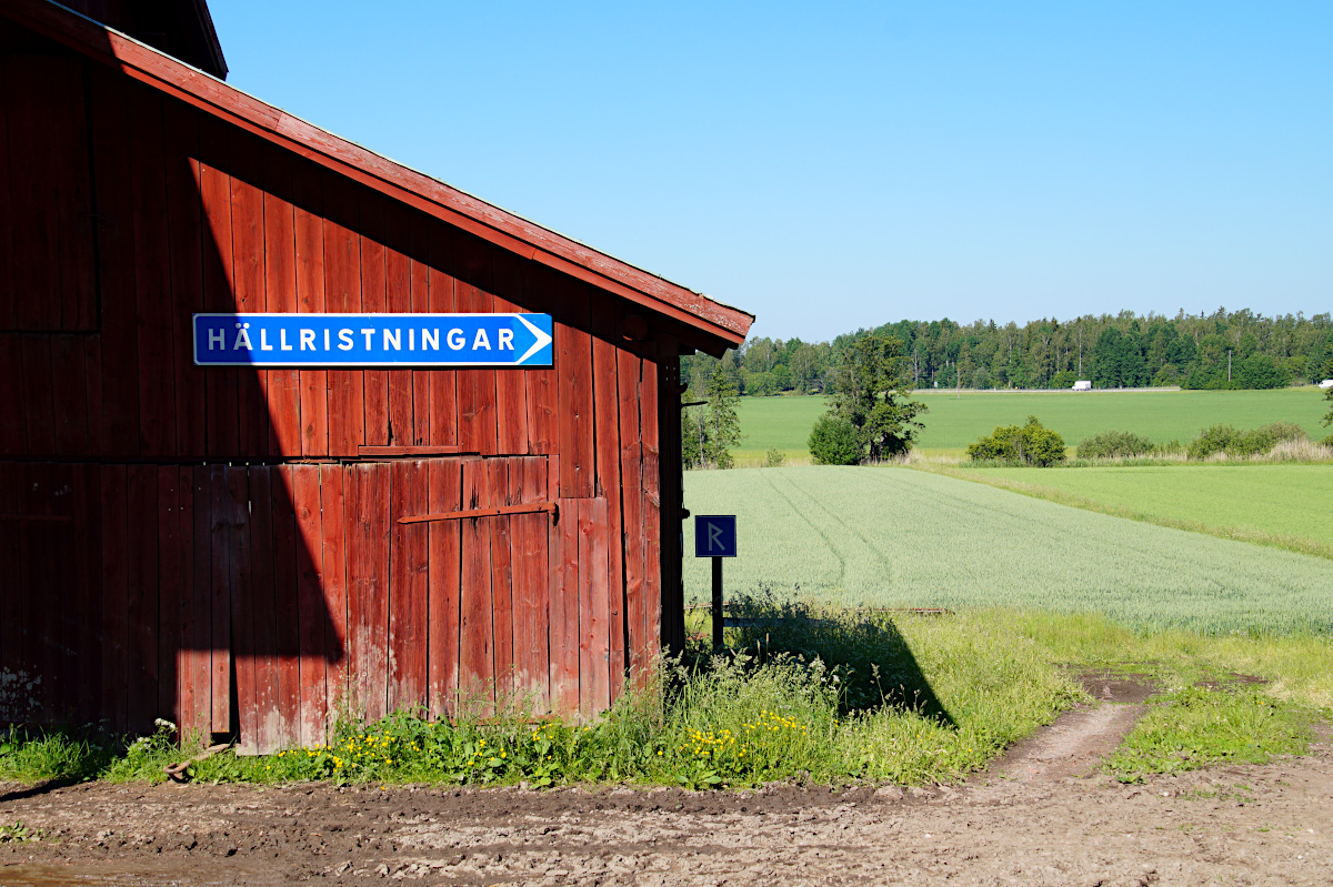 Rock Carvings in Häljesta