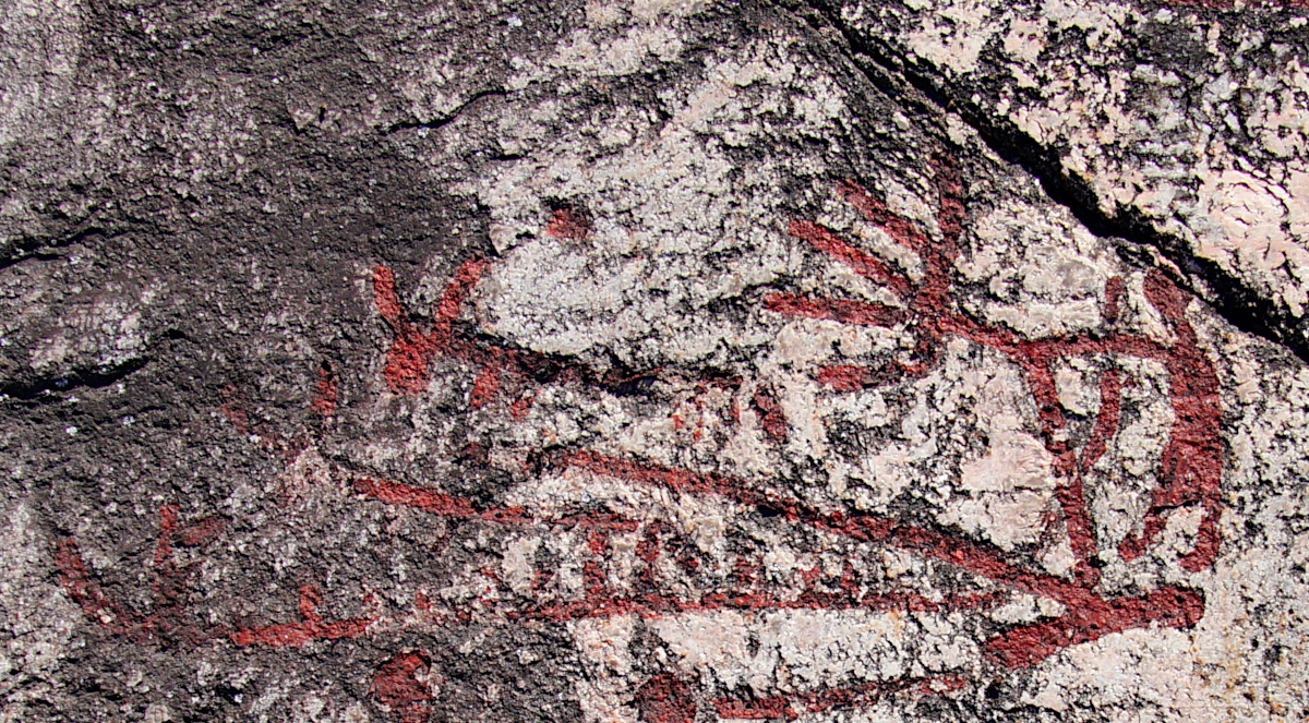 Rock Carvings Häljesta