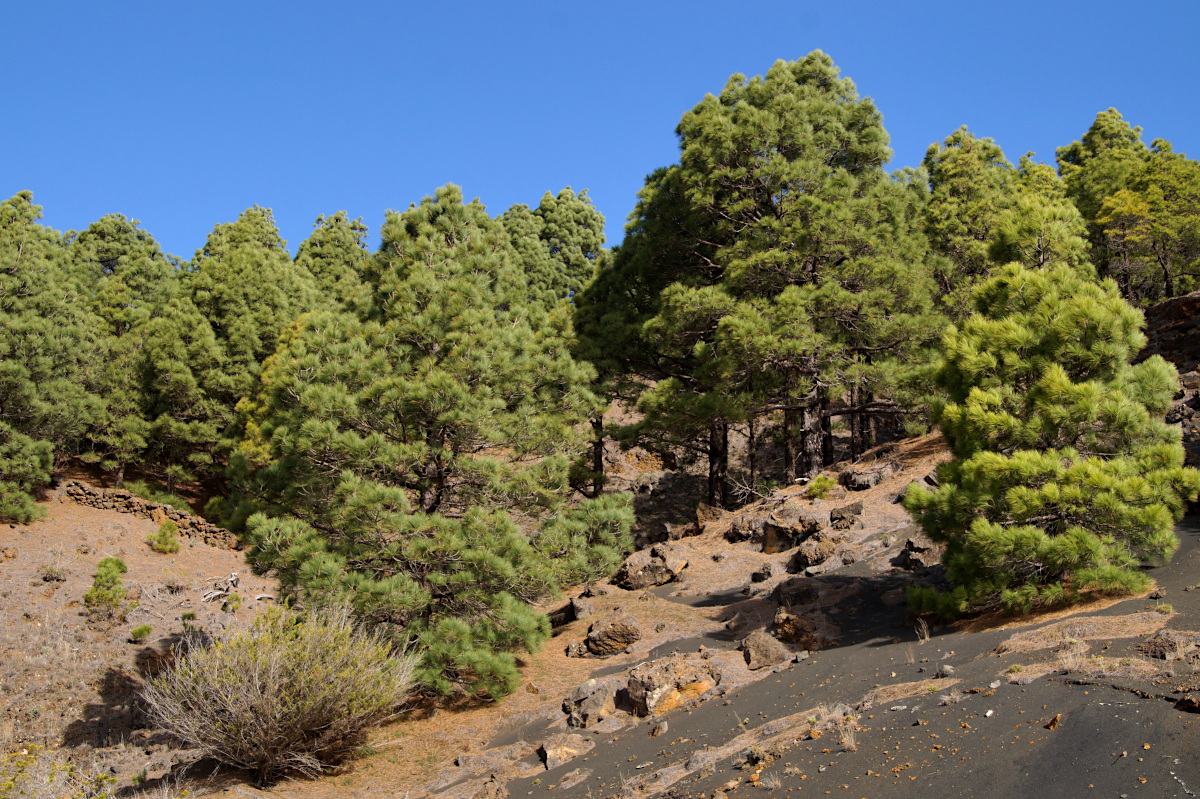 El Hierro