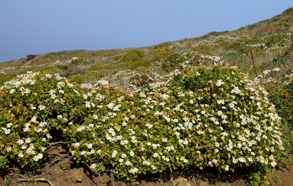 El Hierro