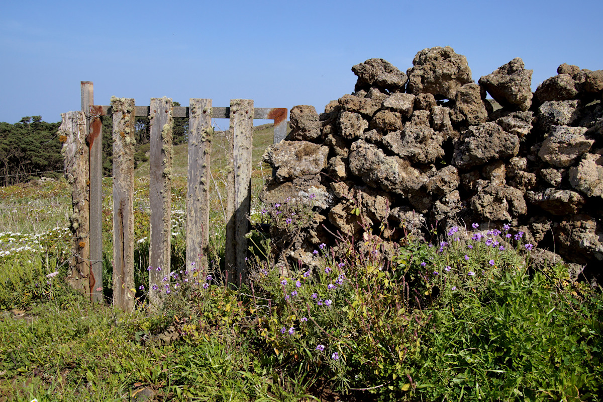 El Hierro