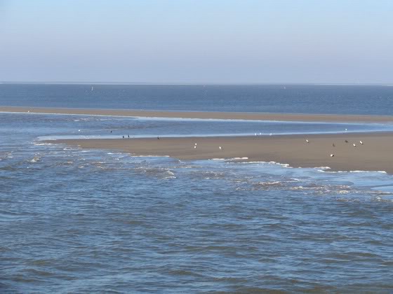 The Waddenzee