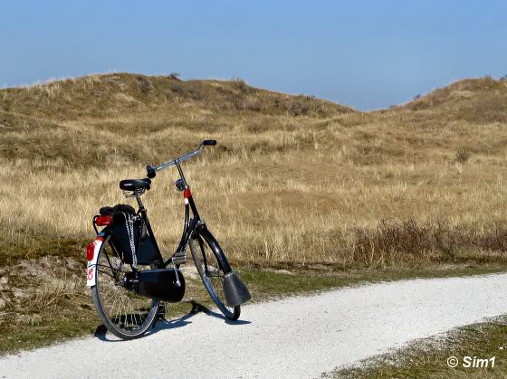 Bicycle on Schiermonnikoog 