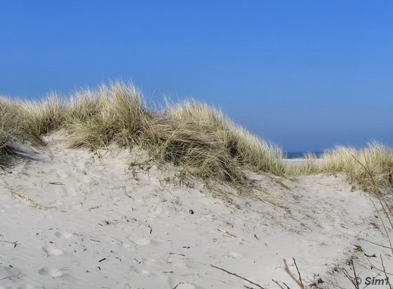 Schiermonnikoog