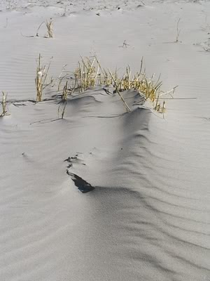 Schiermonnikoog