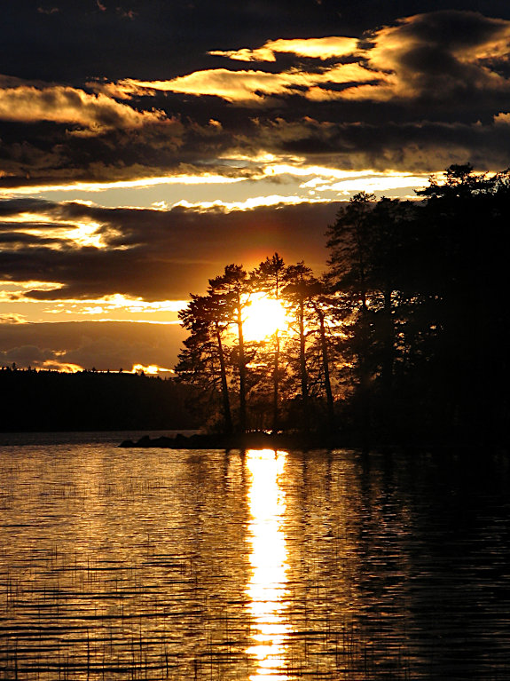 Färnebofjärden National Park